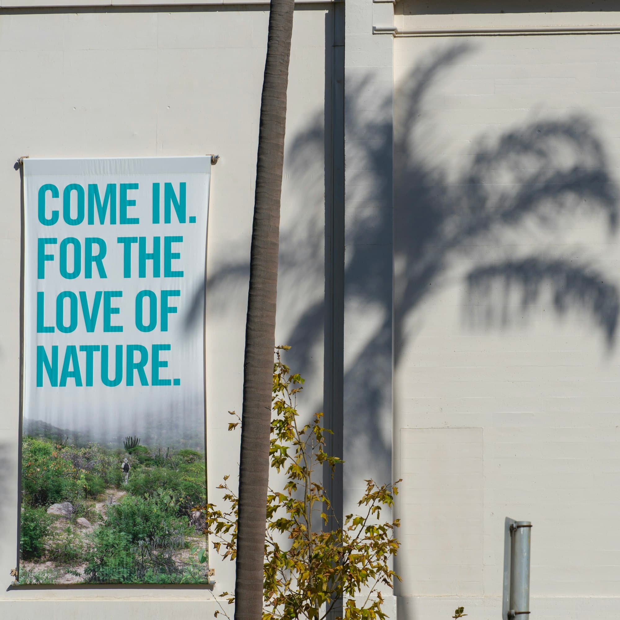 A vertical banner on a wall